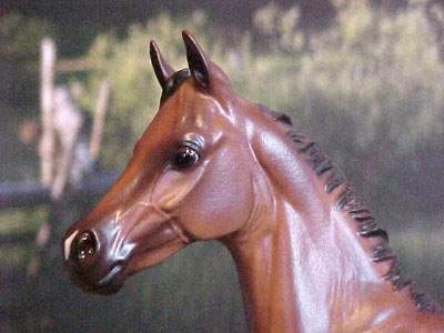 Weanling Painted by Ronni Marcum