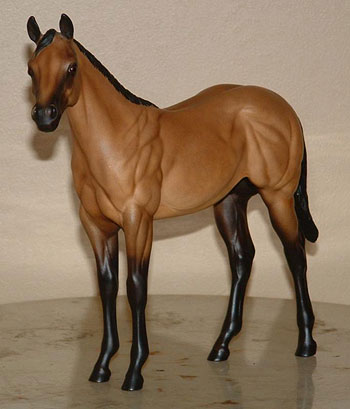 Weanling Painted by Ronni Marcum