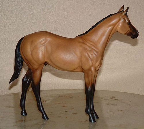 Weanling Painted by Ronni Marcum