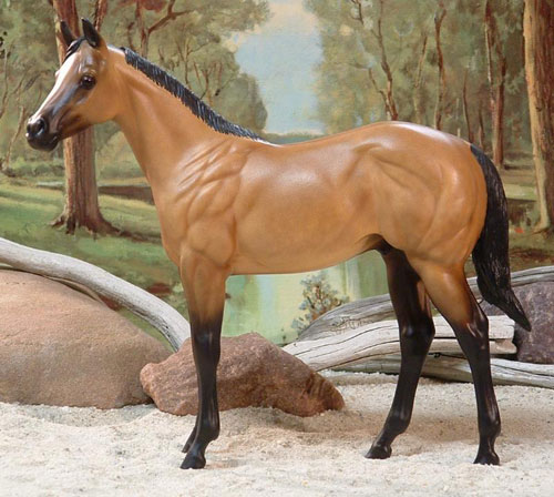 Weanling Painted by Ronni Marcum