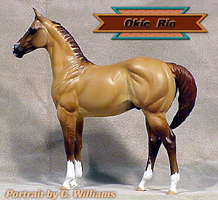 Okie Rio #2 Painted by Carol Williams