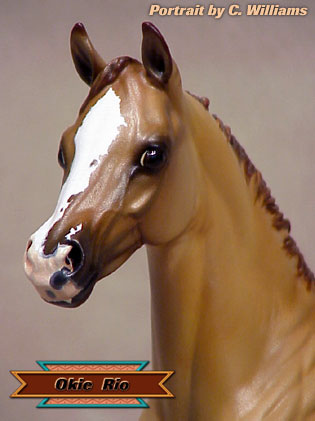 Okie Rio #2 Painted by Carol Williams