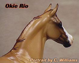 Okie Rio #2 Painted by Carol Williams