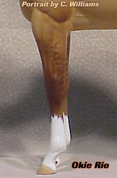 Okie Rio #2 Painted by Carol Williams