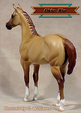 Okie Rio #2 Painted by Carol Williams