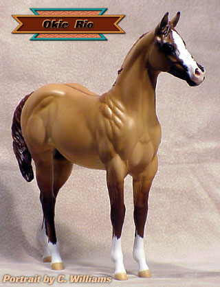 Okie Rio #2 Painted by Carol Williams