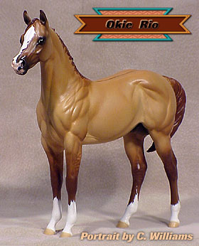 Okie Rio #2 Painted by Carol Williams