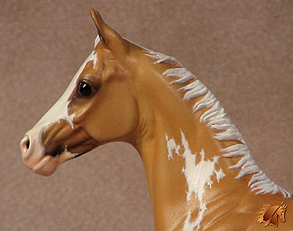 Okie Rio #3 Painted by Carol Williams