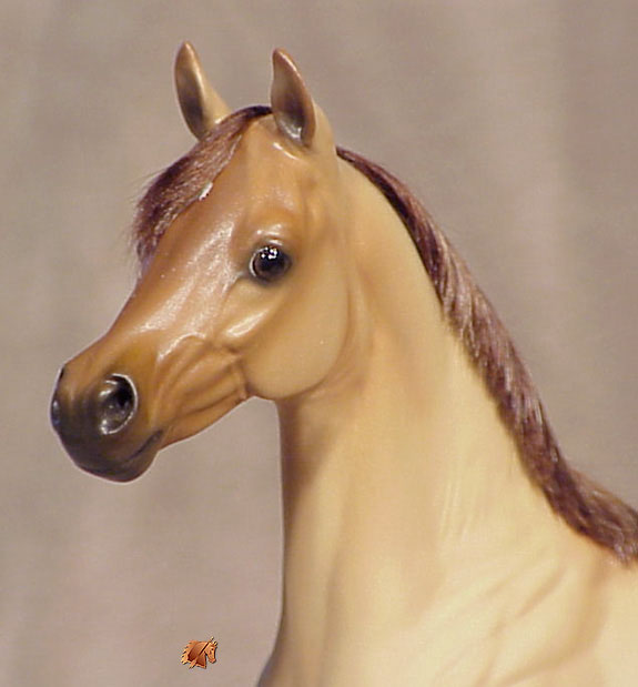 Okie Rio #4 Painted by Carol Williams