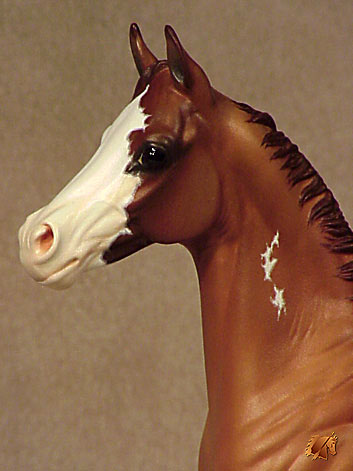 Okie Rio #5 Painted by Carol Williams