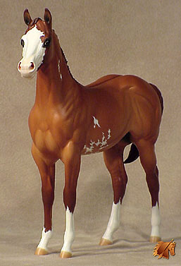 Okie Rio #5 Painted by Carol Williams