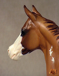 Okie Rio #5 Painted by Carol Williams