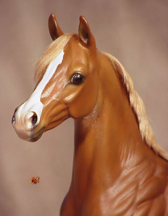 Okie Rio #6 Painted by Carol Williams