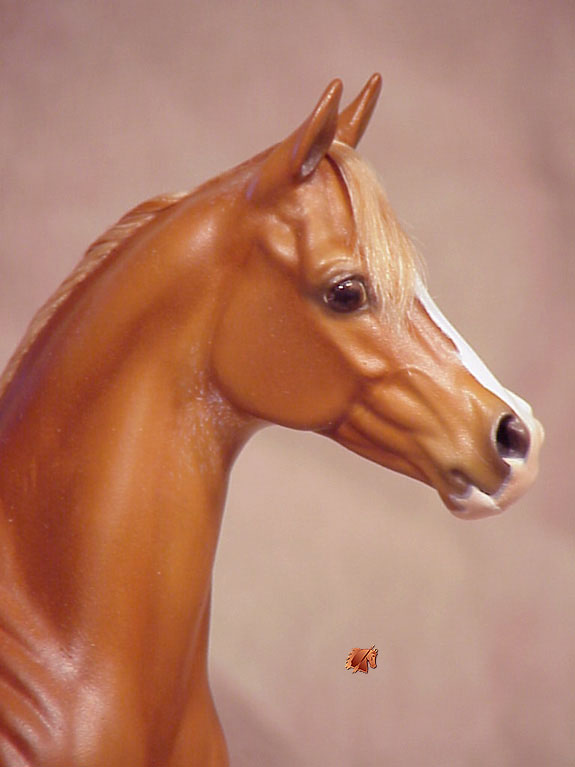 Okie Rio #6 Painted by Carol Williams