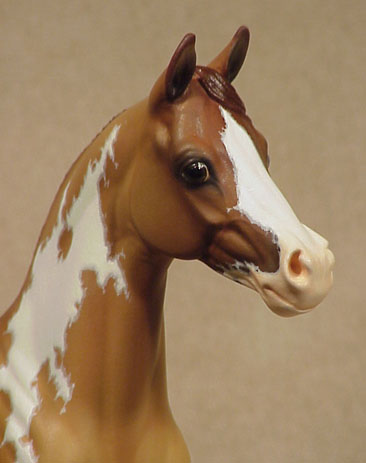 Okie Rio #7 Painted by Carol Williams