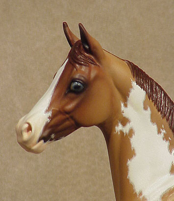 Okie Rio #7 Painted by Carol Williams