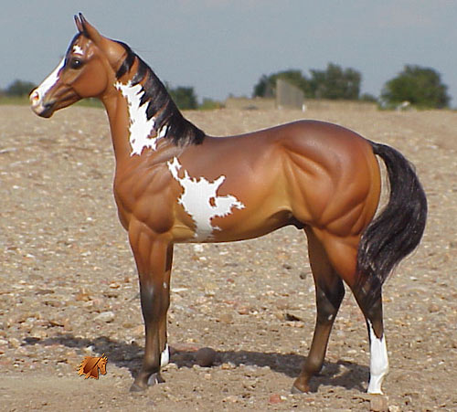 Okie Rio #8 Painted by Carol Williams