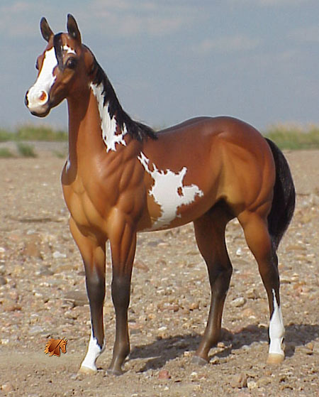 Okie Rio #8 Painted by Carol Williams