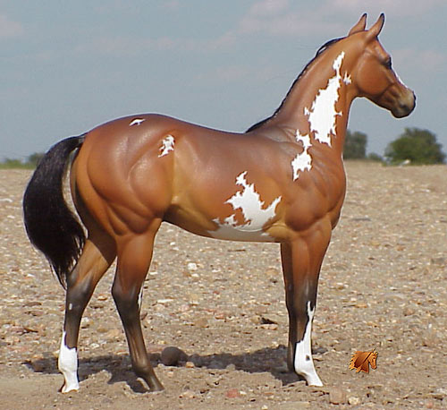 Okie Rio #8 Painted by Carol Williams