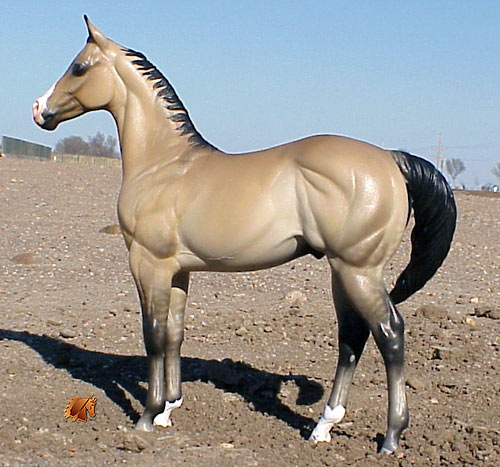 Okie Rio #9 Painted by Carol Williams