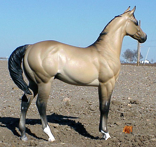 Okie Rio #9 Painted by Carol Williams