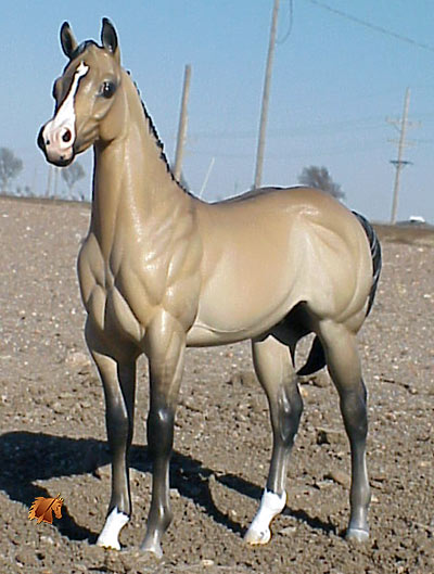 Okie Rio #9 Painted by Carol Williams