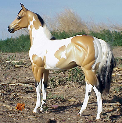 Okie Rio #10 Painted by Carol Williams