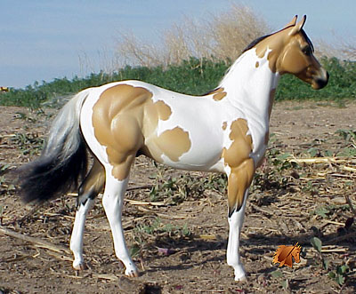 Okie Rio #10 Painted by Carol Williams