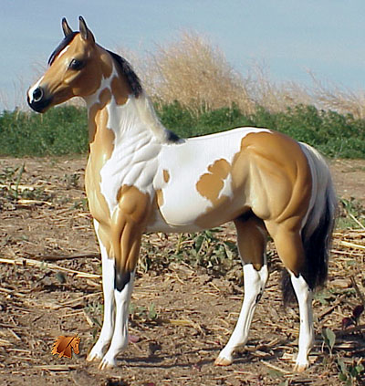 Okie Rio #10 Painted by Carol Williams