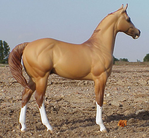 Okie Rio #11 Painted by Carol Williams