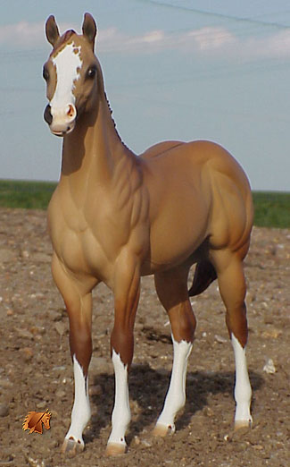 Okie Rio #11 Painted by Carol Williams