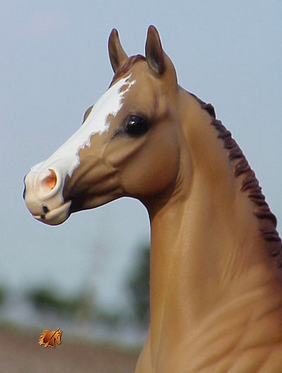 Okie Rio #11 Painted by Carol Williams