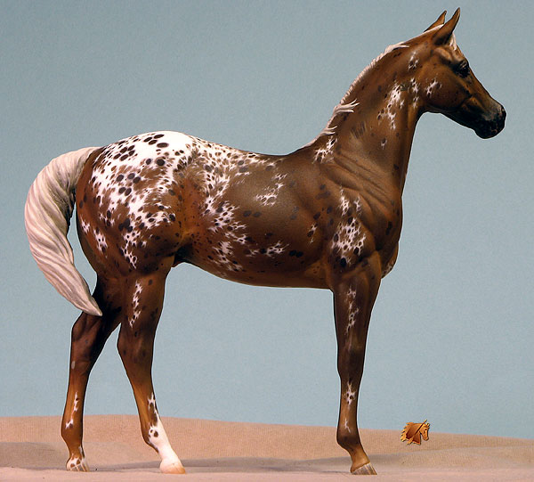 Okie Rio #13 Painted by Carol Williams