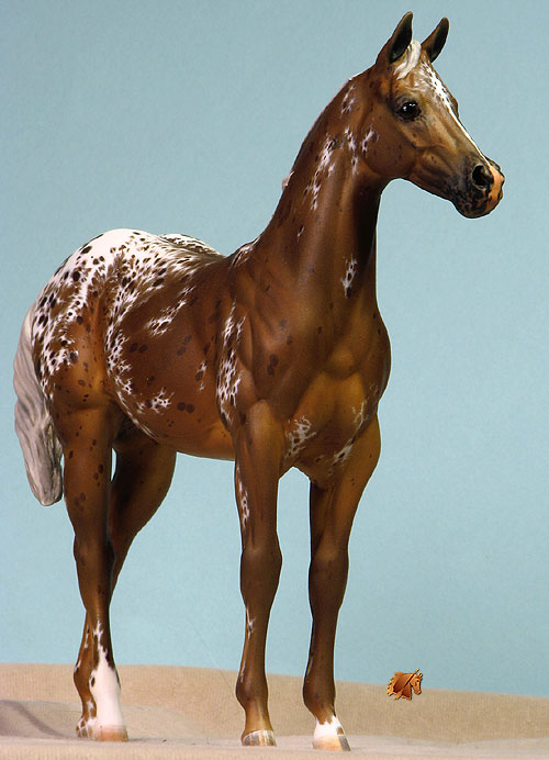 Okie Rio #13 Painted by Carol Williams