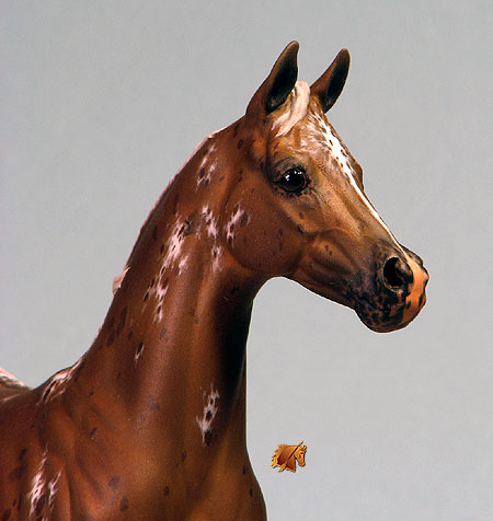 Okie Rio #13 Painted by Carol Williams