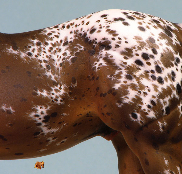 Okie Rio #13 Painted by Carol Williams