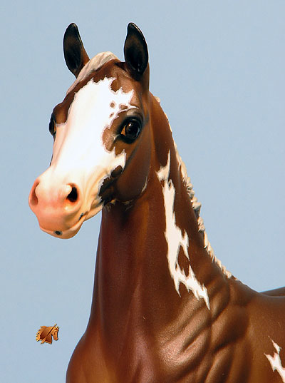 Okie Rio #15 Painted by Carol Williams