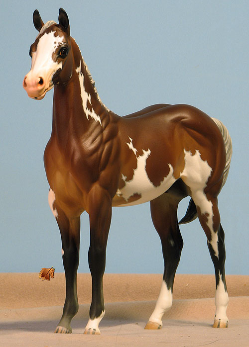 Okie Rio #15 Painted by Carol Williams