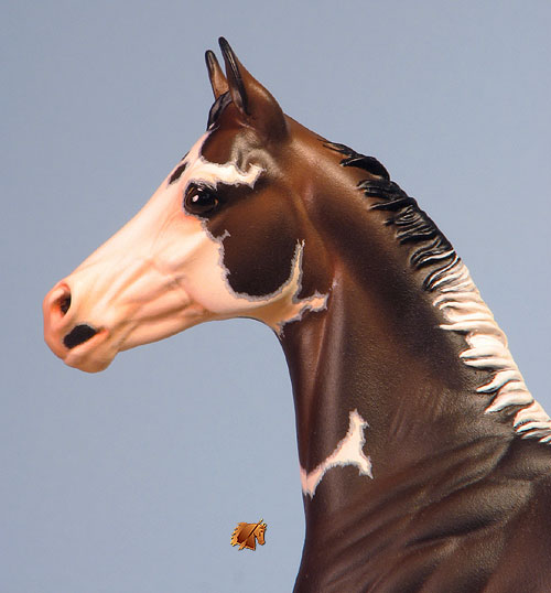 Okie Rio #16 Painted by Carol Williams