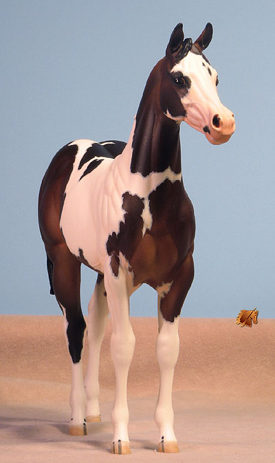 Okie Rio #16 Painted by Carol Williams