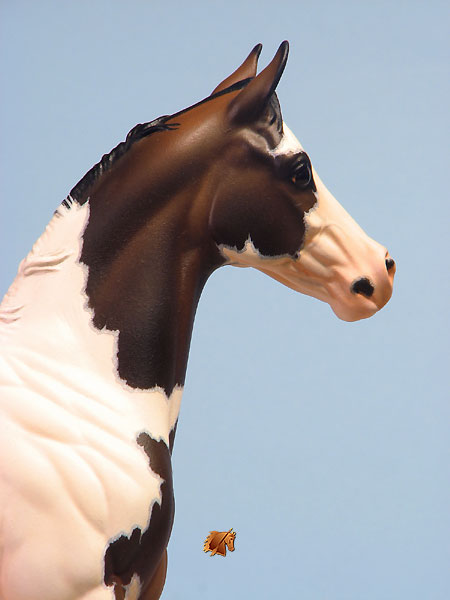 Okie Rio #16 Painted by Carol Williams