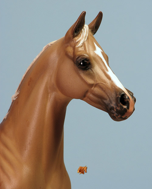 Okie Rio #17 Painted by Carol Williams