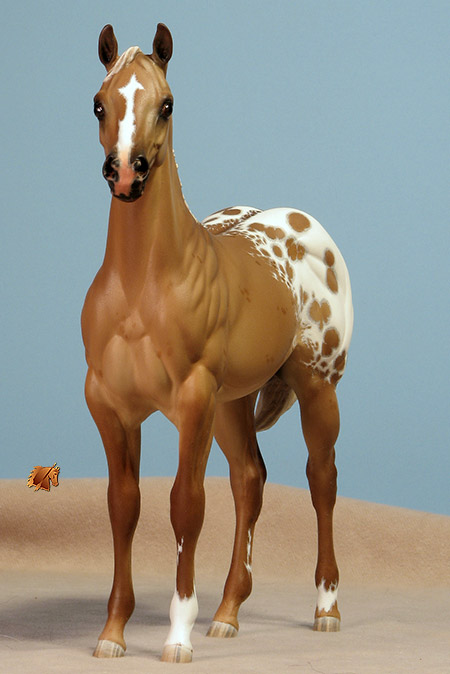 Okie Rio #17 Painted by Carol Williams