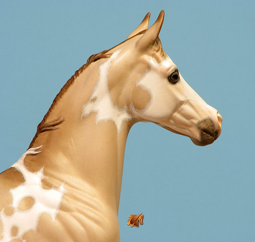 Okie Rio #18 Painted by Carol Williams