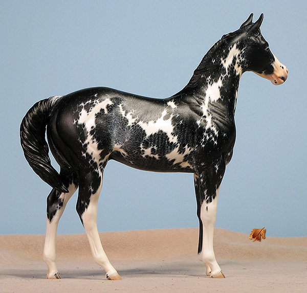 Okie Rio #19 Painted by Carol Williams