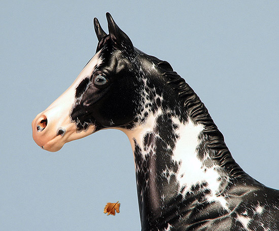 Okie Rio #19 Painted by Carol Williams