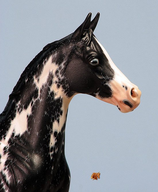 Okie Rio #19 Painted by Carol Williams