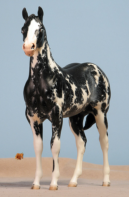 Okie Rio #19 Painted by Carol Williams