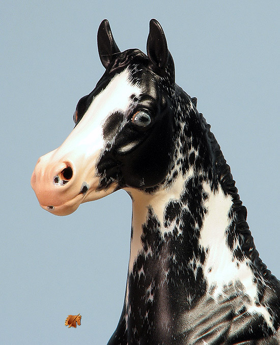 Okie Rio #19 Painted by Carol Williams