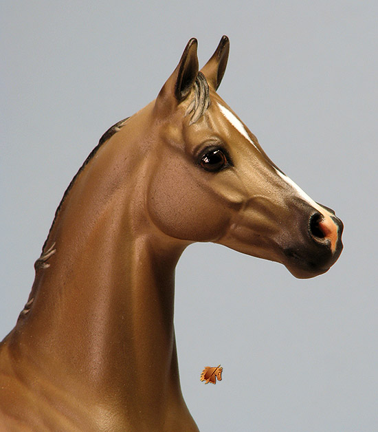 Okie Rio #20 Painted by Carol Williams